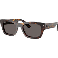 RAY BAN JOSEPH RB7683 902/B1